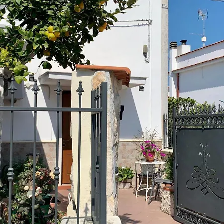 B&B Casa Biscotti-2